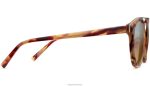 Warby Parker T4FT0T818 Brille Adobe-Schildkröte mit poliertem Gold Laney – Bild 3