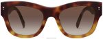 Warby Parker T4FT0T826 Brille Sonnenstrahl-Schildkröte verblassen Yamini – Bild 4