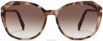 Warby Parker T4FT0T863 Brille Sesamschildkröte mit poliertem Gold Nancy – Bild 4