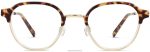Warby Parker T4FT0T91 Brille geschichtete Haselnussschildkröte mit poliertem Gold Finnegan – Bild 4