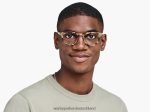 Warby Parker T4FT0T265 Brille Marzipan-Schildkröte ainsley – Bild 2