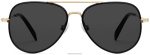 Warby Parker T4FT0T669 Brille gebürstete Tinte mit poliertem Gold Räuber – Bild 4