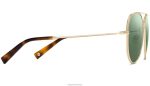 Warby Parker T4FT0T670 Brille poliertes Gold Räuber – Bild 5