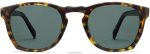 Warby Parker T4FT0T763 Brille Haselnussschildkröte matt Topper – Bild 4