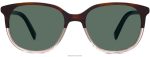 Warby Parker T4FT0T919 Brille Teerose verblasst Lorbeer – Bild 3