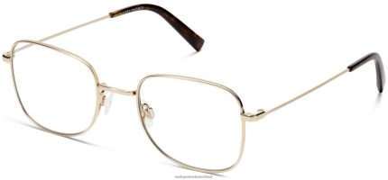 Warby Parker T4FT0T96 Brille poliertes Gold gifford